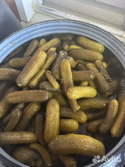 Огурцы соленые бочковые