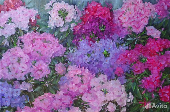 Авторские картины маслом с флоксами