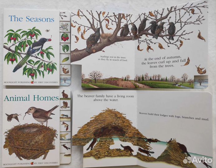 Детские английские книжки