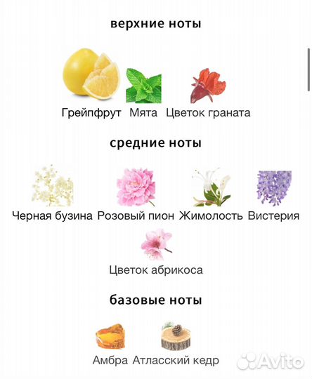 Женские духи Pandora N 5 (Eclad Lanvin) 50 мл