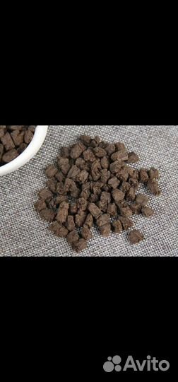 Старые чайные головы шу. Окаменелости шу. Лао Ча Т