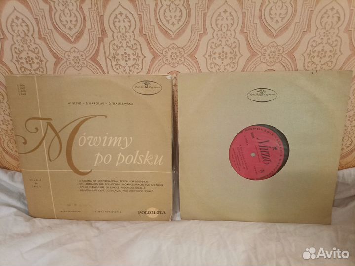 Виниловая пластинка: Уроки польского языка