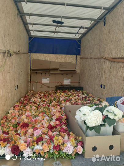 Грузоперевозки Газель и Грузчики 24ч