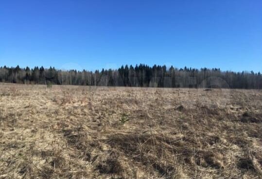 Участок 100 сот. (СНТ, ДНП)