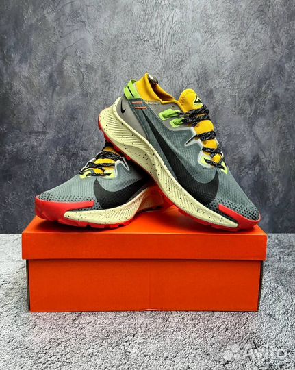 Кроссовки Мужские Nike Pegasus