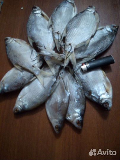 Рыба густера кубанская