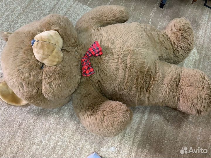 Медведь очень большой и красивый, новый