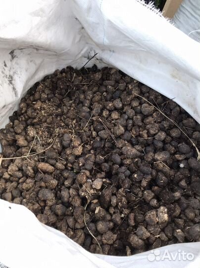 Конский навоз