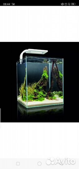 Аквариум