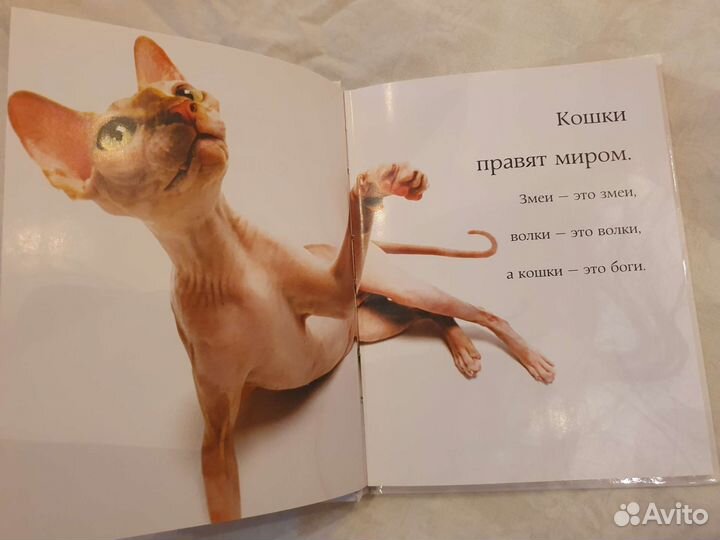 Книга фотоальбом Самые очаровательные кошки