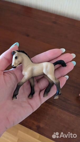 Андалузский жеребенок