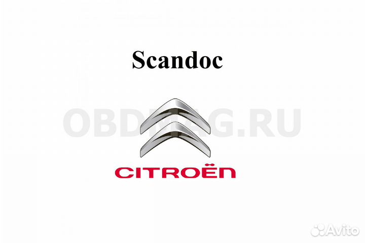 Программный модуль citroen / peugeot для Scandoc