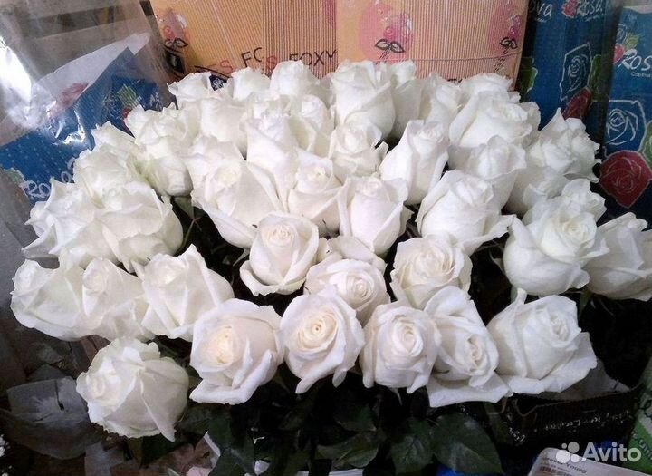 Розы Цветы Букеты 25 51 151 201 101 301 501 опт