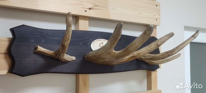 Вешалка из рога лося