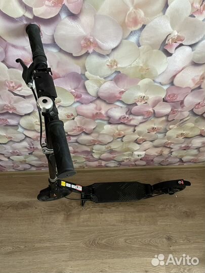 Самокат Roces Lux, 230 мм