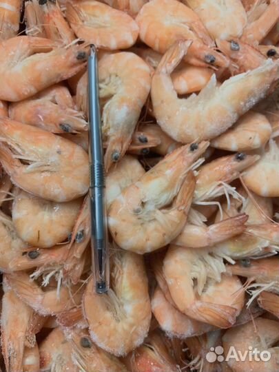 Креветки королевские и северные
