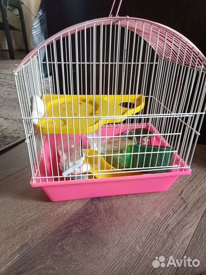 Клетка для грызунов бу