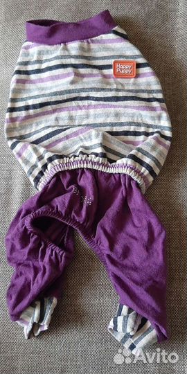 Комбинезон для собак, подгузники