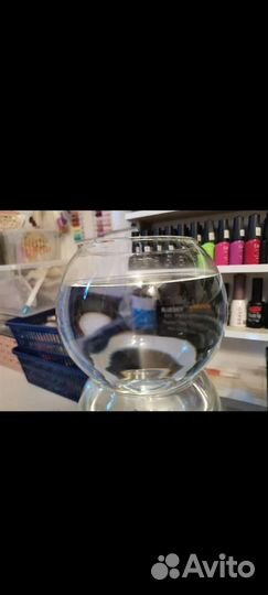 Шар, ваза, аквариум 3Л. новый