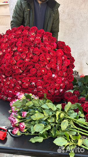 Метровые розы С доставкой цветы букеты