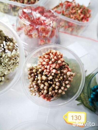 Сухоцветы для творчества