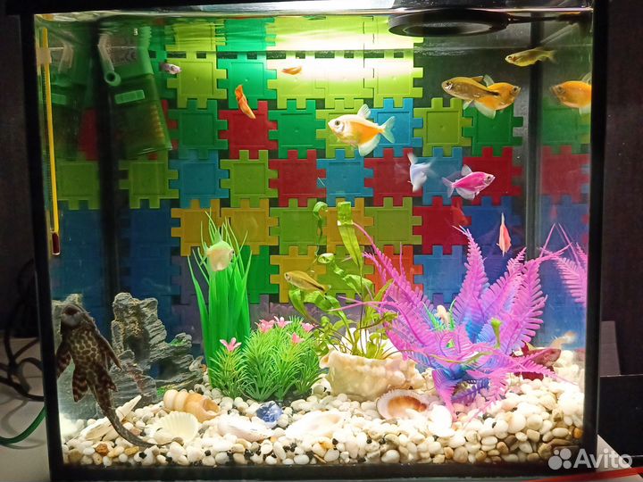 Аквариум с рыбками
