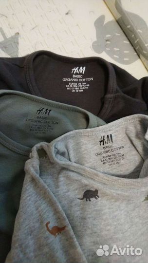 Боди hm 86 размер