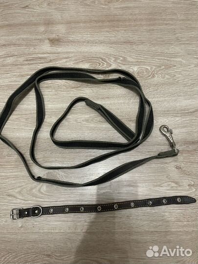 Ошкйник с поводком