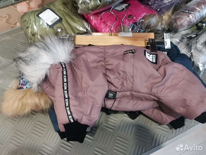 Комбинезоны для собаки