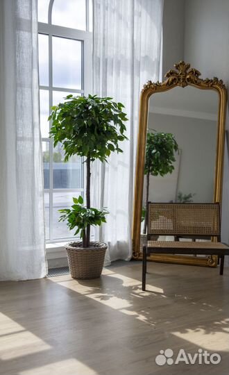 Искусственное озеленение