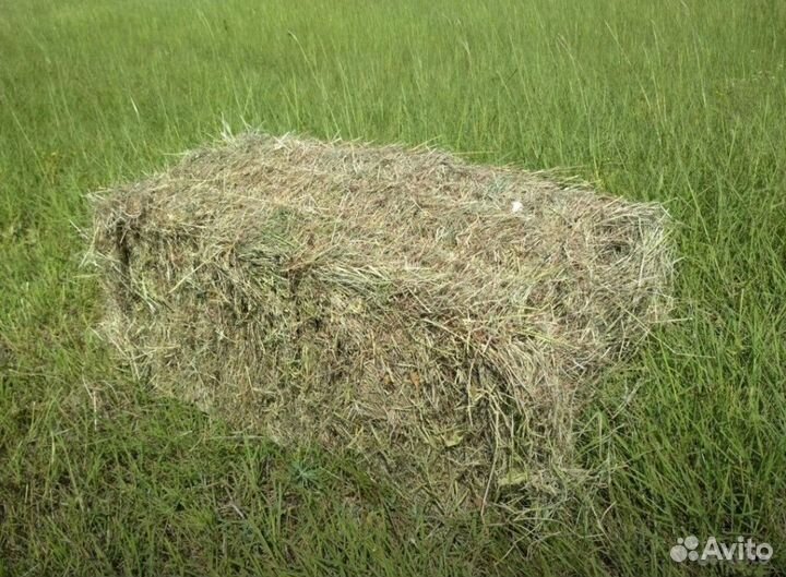 Продам солому и сена