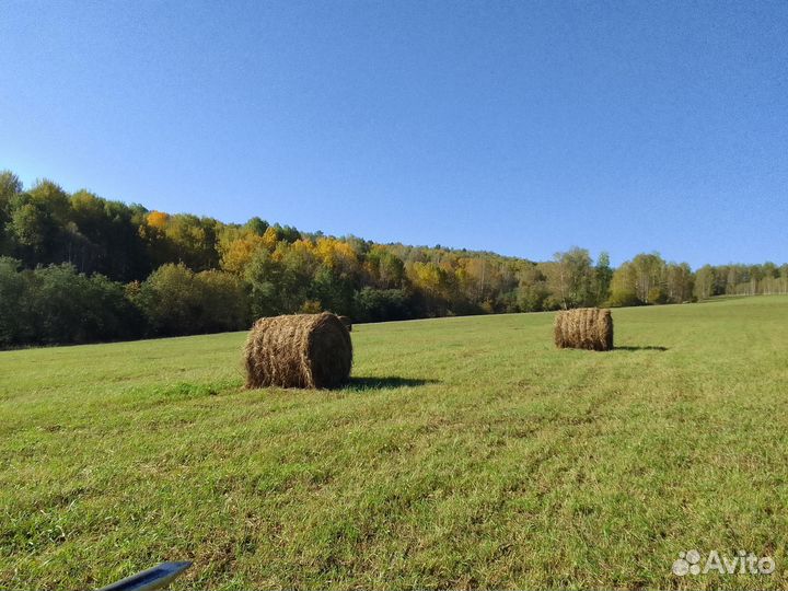 Продам сено в рулонах