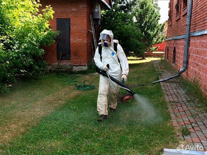 Акарицидная обработка участка от клещей
