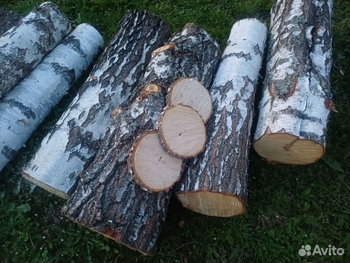 Березовые спилы