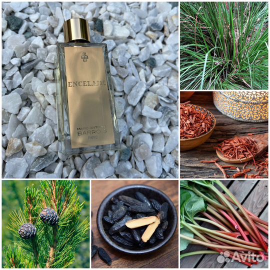 Делюсь versace, guerlain, DG, attar collection