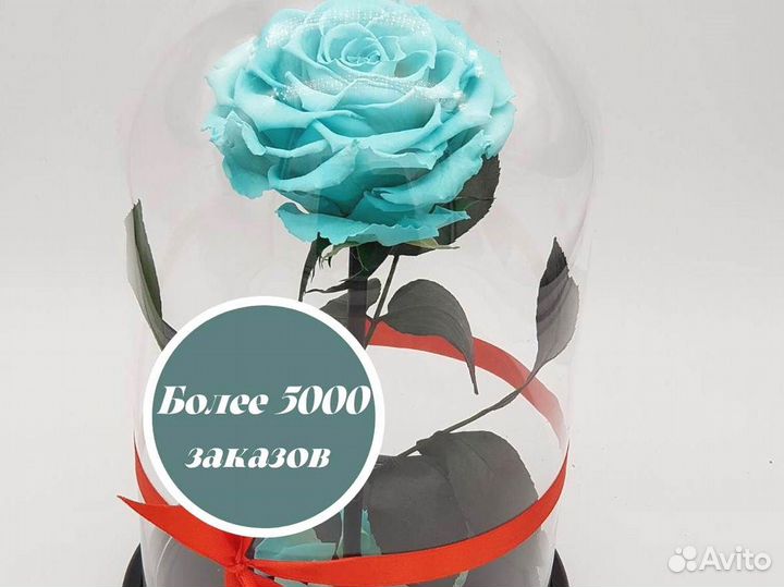 Розы в колбе на выбор