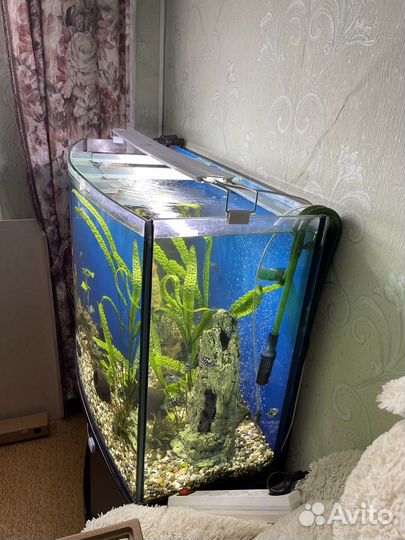 Аквариум с тумбой 250 литров