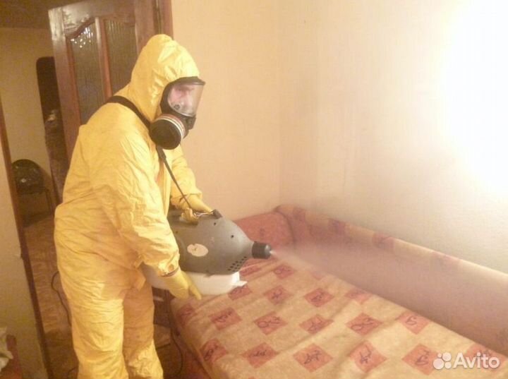 Средство для Уничтожения клопов травли тараканов, блох