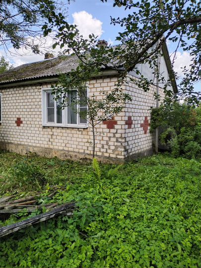 Дом 54 м² на участке 18 сот.