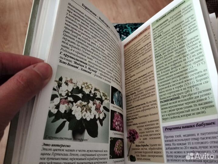 Маленькая красивая книга про комнатные растения