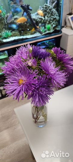 Букет цветов на 1 сентября