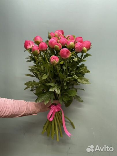 Пионы с доставкой