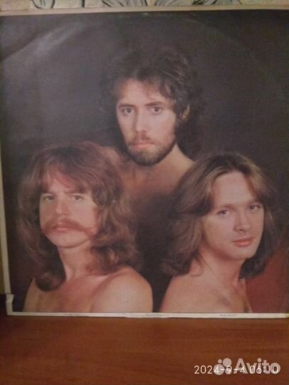 New Trolls LP 1979 mint