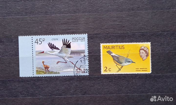 Почтовые марки. Фауна