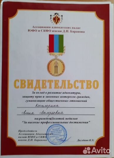 Адвокат по уголовным, гражданским делам