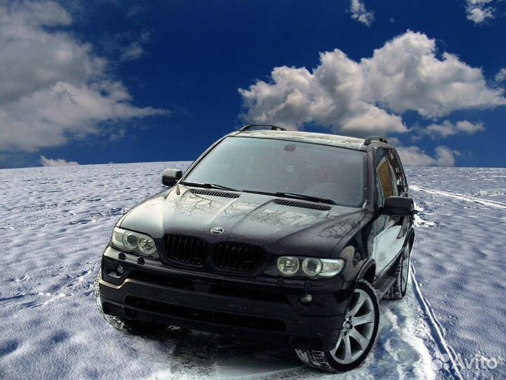 Лобовое стекло BMW X5 e53