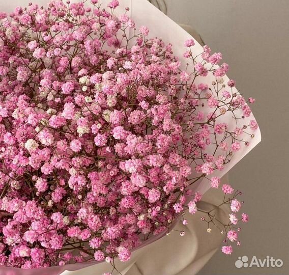 Гипсофила, радужная гипсофила, букет с доставкой