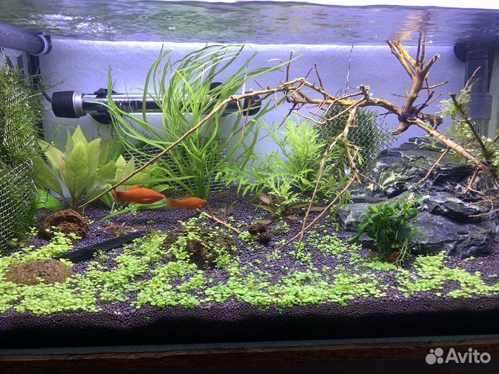 Аквариум