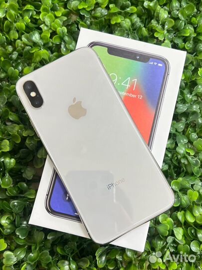 iPhone X, 256 ГБ