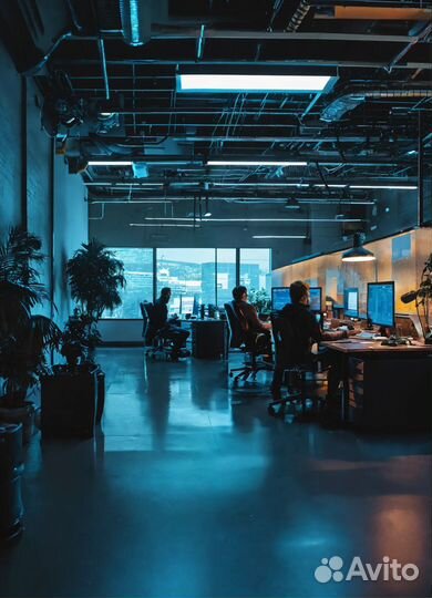 Прибыльный IT-бизнес - Ваш шанс на быстрый старт